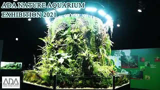 【ADA】 NATURE AQUARIUM EXHIBITION in Tokyo 2021 【AQUASCAPE GALLERY】