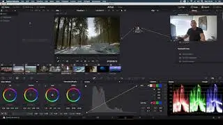 How to use Resolve's Timeline wipe