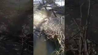 Журчанье ручья часть 6