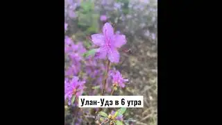 С 23 апреля хожу и нахаживаю от 10000 шагов . 