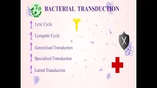 BACTERIAL TRANSDUCTION