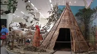 Из ТАЙГИ В МУЗЕЙ ПРИРОДЫ И ЧЕЛОВЕКА
