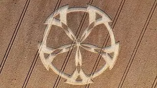 Sudarshan Crop Circle appears again !!!  ~ 19th July 2024 #cropcircles  #cropcircle #cropcircle2024