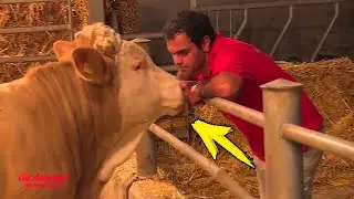 Bull’s been imprisoned his whole life – the moment he’s set free is beautiful to behold