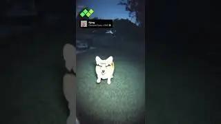 RAC and Giovanni just collab'd, want to join the fun?