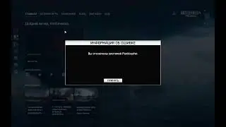 Исправление бага античита BF 4 PunkBuster 