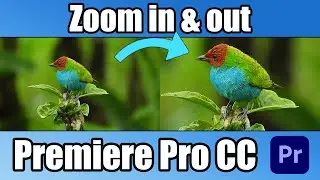 How to Zoom In and Out in Premiere Pro CC