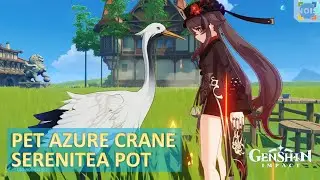 New Pet Azure Crane Serenitea Pot - Genshin Impact