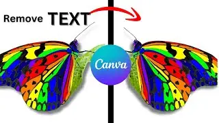How To Remove Text From An Image In Canva
