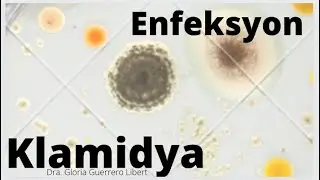 Enfeksyon Klamidya (video en creole)