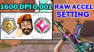 1600 DPI AIMBOT RAW ACCEL SETTING FOR VALORANT 2024