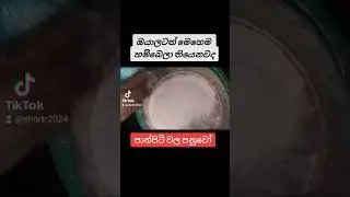 ඔයාලත් පෙනේරෙකින් හලලා පාන් පිටි වලින් රොටී පිච්චුවාද
