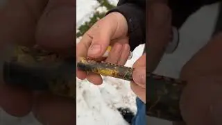 Pétard Crash vs neige