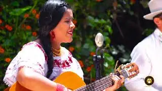 Amapolita - Linda Pichamba (Live Streaming)