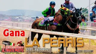 3.-La Perris vs El Lobo