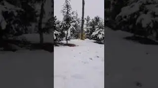 Snowfall in Murree | Murree Snowfall | Murree Weather