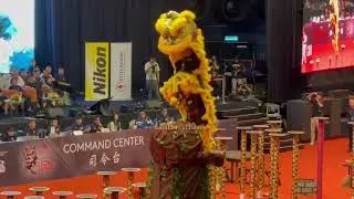 [FINAL] Wen Ching Kelapa Sawit 柔佛沙威文青龙狮团 - 20th Malaysia National Lion Dance Championship 2024