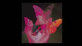 [FREE] Yung Lean x David Shawty x Lil Uzi Vert type Beat (prod. Soulking)