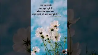 good morning status|most beautiful background status|silent song status