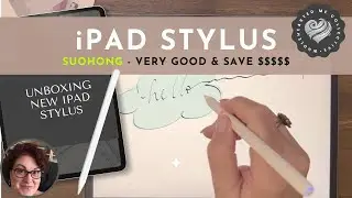 iPad Stylist | Cheaper Replacement iPencil