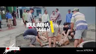 Proses penyembelihan hewan Qurban Masjid Al Hikmah Denokan, 29 Juni 2023