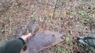 Удача любит настойчивых !