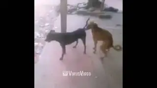 Подкатил из далека!!!