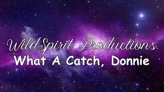 What A Catch, Donnie-Lyrics