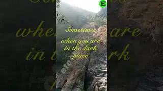You ve been planted #youtubeshorts #viral #motivation