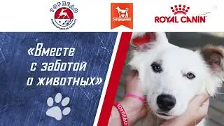 Вместе с заботой о животных!