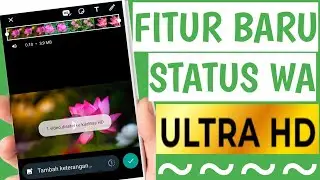 The latest way so that WA status is not blurry