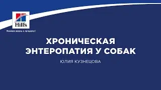 Вебинар на тему: “Хроническая энтеропатия у собак”. Лектор - Юлия Кузнецова.