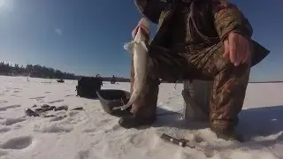 Suomessa fishing 12.03.16