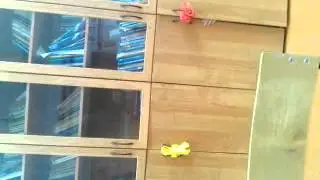 Видео0017