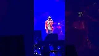 Calcutta - Tutti (Live Rock In Roma 30/06/2024)