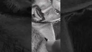 Pencil sketch | random | #anatomy #blackandwhite #pencildrawing #pencilsketch