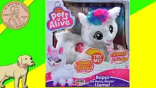 Boppi The Booty Shakin' Llama Pets Alive