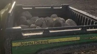 I Broke The 825i Gator