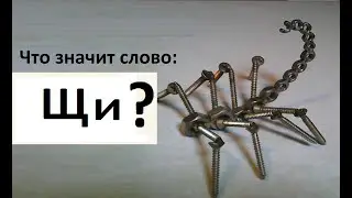 Общий смысл слов на букву Щ