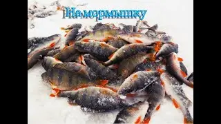 Коткерос.Курья.Ветер.Ловля на мормышку.