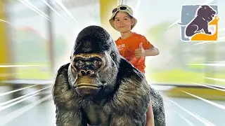 Дубай Сафари Парк