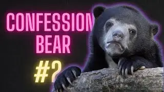 Confession bear - meme compilation #2