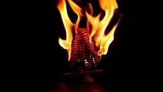 Matches Tree on fire