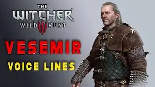 The Witcher 3: Wild Hunt - Vesemir Voice Lines