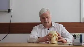 Шум в ушах самолечение