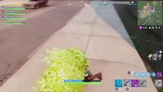 The Dancing Bush!