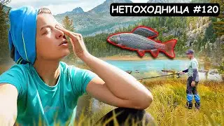 HOW WE SURVIVED ON A HIKE. FISHING IN THE MOUNTAIN TAIGA, A NIGHT STORM, AND DANGEROUS ROCKS