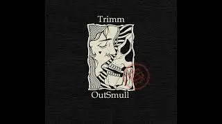 Guitar Beat Лиричный Гитарный Бит - Trimm