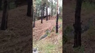 15 июля 2023 г.