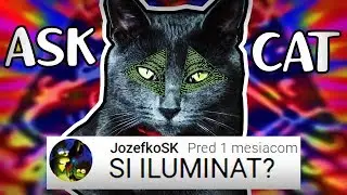 MAČKA JACKIE ODPOVEDÁ NA VAŠE DIVNÉ OTÁZKY!  |  Mačka Jackie